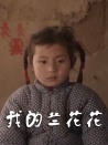 我的蘭花花