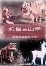 【百万新娘续集】高清视频_【百万新娘续集】