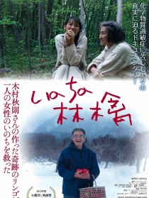 命運(yùn)的蘋(píng)果