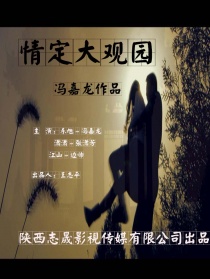 情定大观园