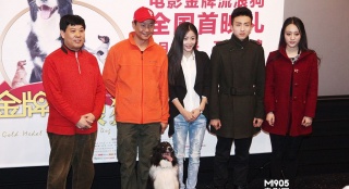 《金牌流浪狗》21日公映 冠军犬有绝活身价过亿