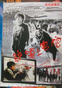 驴嘎上电视