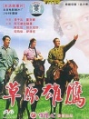 草原雄鷹