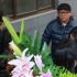 路學(xué)長火化妻子落淚 王小帥管虎送行葛優(yōu)獻(xiàn)花圈