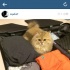 舒淇打包男裝行李 被猜欲和馮德倫甜蜜旅行？