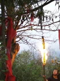 我为故乡的死寂举行一个良辰吉日