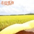 乔振宇《求爱嫁期》曝新照 喜剧爱情5.16来袭