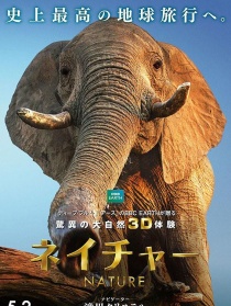 魔幻王國3D
