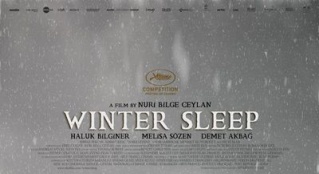 《冬眠》：剧情细腻角度独特节奏拖沓略显冗长