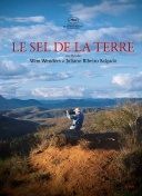 镰田大地：水晶宫已适应埃泽的离队，队友对日本足球的评价更高了