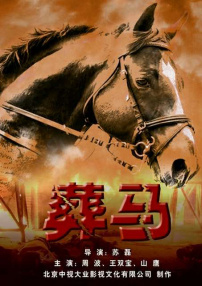彈無虛發(fā)之葬馬