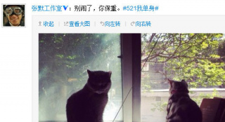 張默工作室回應戀情：和牛萌萌已分手，你保重