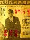 艷陽(yáng)長(zhǎng)照牡丹紅