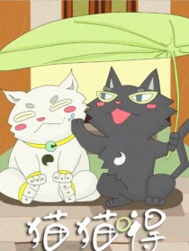 貓貓嘚