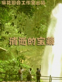消逝的寶藏
