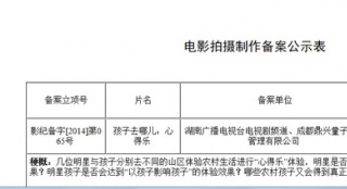電影《孩子去哪兒》立項(xiàng) 或復(fù)制“爸爸”成功路