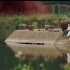 《尋找聲音的耳朵》9月上映 獲各大電影節(jié)推薦
