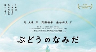 《葡萄的眼泪》曝彩虹海报 入围蒙特利尔电影节