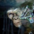 《猩球崛起2》国内热映 动作捕捉技术发展漫谈