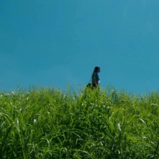 零之真实:监察医松本真央