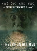 强势开局，哈兰德加盟曼城4个赛季，每赛季前10轮40场共打进50球