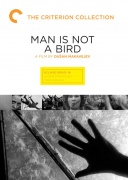 男人不是鸟