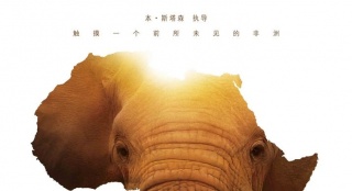 《狂野非洲》定档11.7 刘欢带你身临其境游非洲
