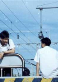漫长的夏天