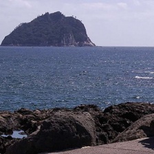 两个祖国,一种热爱