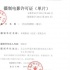 《何以笙箫默》版权纷争 顾漫：不归乐视归光线