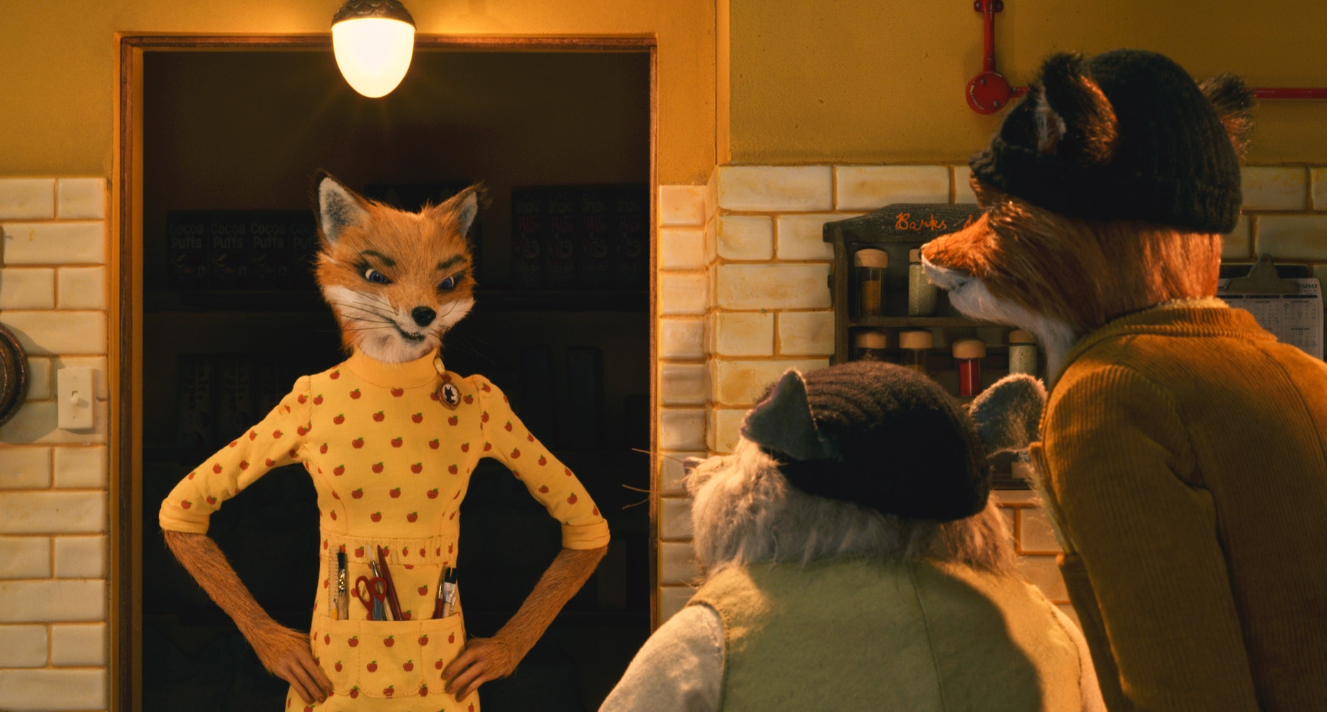 狐狸的故事-电影-高清在线观看-百度视频