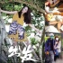 娛評：姚笛復出“翻身仗”難打 心急吃不了熱豆腐
