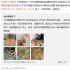 关爱儿童！李亚鹏救助兔唇被弃男婴 奉献爱心