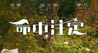 《命中注定》曝先導(dǎo)海報 湯唯廖凡演繹意式浪漫