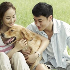《我的男友和狗》曝終極預告 結尾淚點HOLD不住