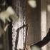 《少年班》發(fā)最強(qiáng)陣容MV 周迅、黃曉明聯(lián)袂出鏡