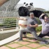 《功夫熊猫3》巴塞罗那发布会 “阿宝”搞怪讨喜
