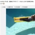 王力宏曬妻子大肚舊照 感嘆時光飛逝:女兒快1歲