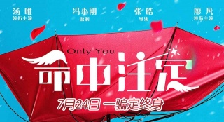 《命中注定》曝終極預(yù)告 湯唯廖凡一騙定終身