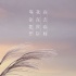 《太平轮·彼岸》曝光推广曲MV 李健填词献唱