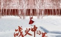 《战火中的芭蕾》北京首映 上演跨国凄美爱恋