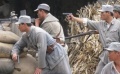 电影频道展播之《杨勇战鲁西》 巧用神兵战日寇