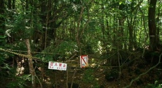 恐怖片《自杀森林》发预告 恐怖氛围呼之欲出