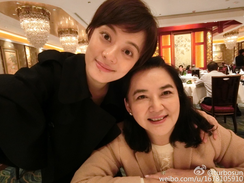 揭秘娱乐圈亲戚网:孙俪和胡慧中 张震和于丹_