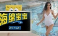 《海绵宝宝》12月1日呆萌来袭 美女主播大秀身材