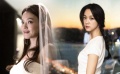 305期：舒淇甘愿變“剩女” 湯唯助陣丈夫金泰勇