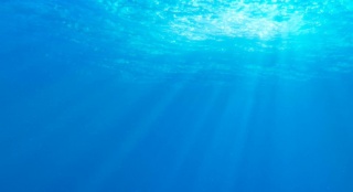 《海底總動(dòng)員2》新海報(bào) 多莉暢游深海千里尋親