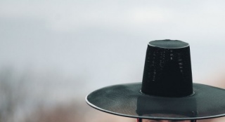 《桃李花歌》韩国热映 金南佶友情出演引关注