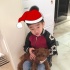 杨云晒杨阳洋萌照 “戴”圣诞帽抱小狗嘟嘴搞怪