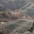 阿方索儿子执导《绝命荒漠》预告 聚焦移民惊悚